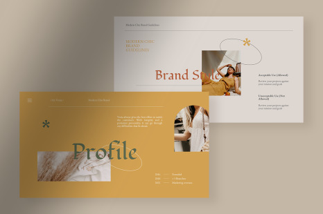 Vexia - Modern Chic Brand Guideline