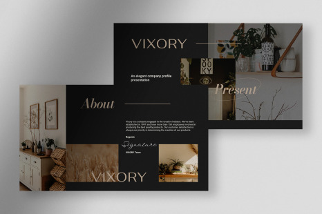 Vixory - Deep Dark Elegant Company Profile Presentation