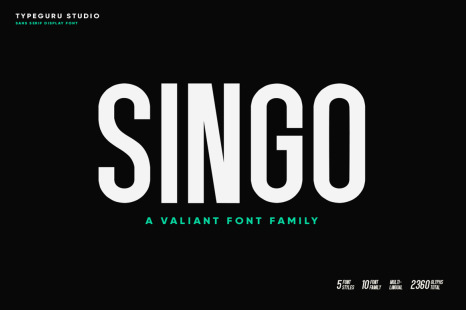 Singo | Sans Display Font