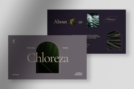 Chloreza - Minimalist Gradient Brand Guidelines Presentation
