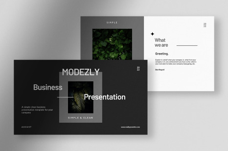 Modezly - Simple and Clean Business Presentations