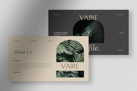 Vaire - Elegant Company Profile Presentation