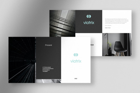 Viatrix - Professional Corporate Business Presentation