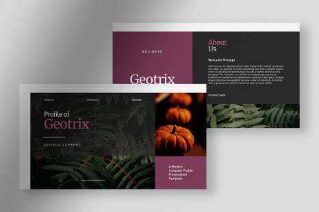 Geotrix - Grape Juice Modern Company Profile Presentation