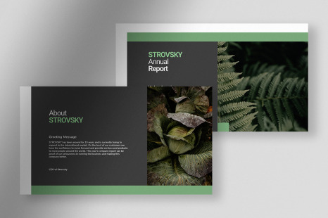 Strovsky - Rain Forest Modern Annual Report Presentation