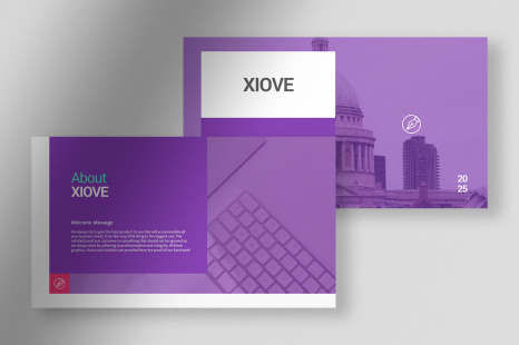 Xiove - Professional Infographic Statistic Presentation