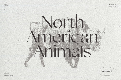 Sketches of animals of North America