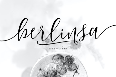 Berlinsa Script