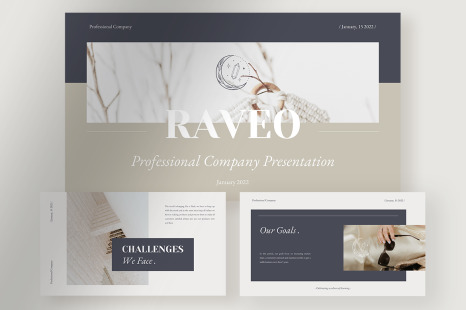 Raveo - Elegant Professional Company Presentation