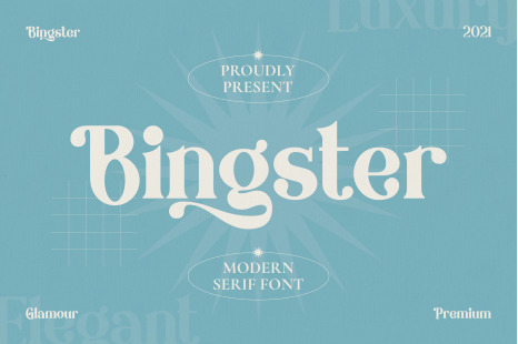 Bringster - Modern Serif Font