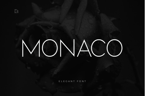 MONACO FONT