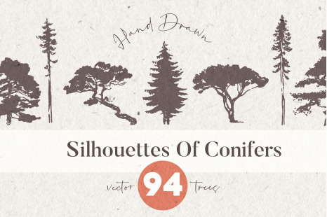 Silhouettes of pine and fir trees