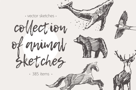 Huge collection of animals drawings
