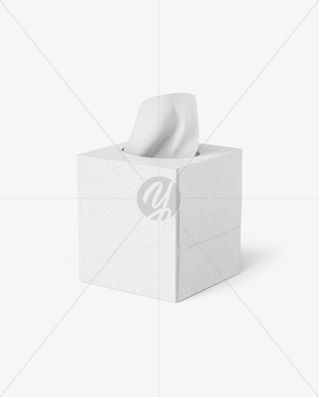 Kraft Paper Box w  Wipes Mockup PSD #3