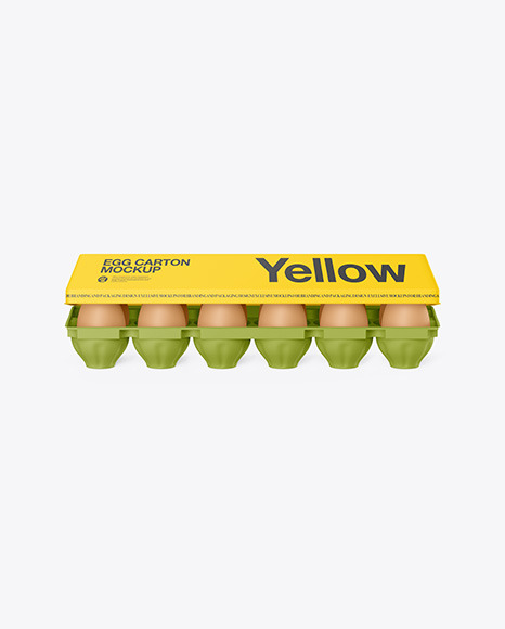 EGG CARTON MOCKUP