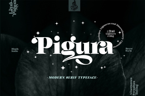 Pigura - Modern Serif Typeface