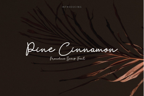 Pine Cinnamon Font