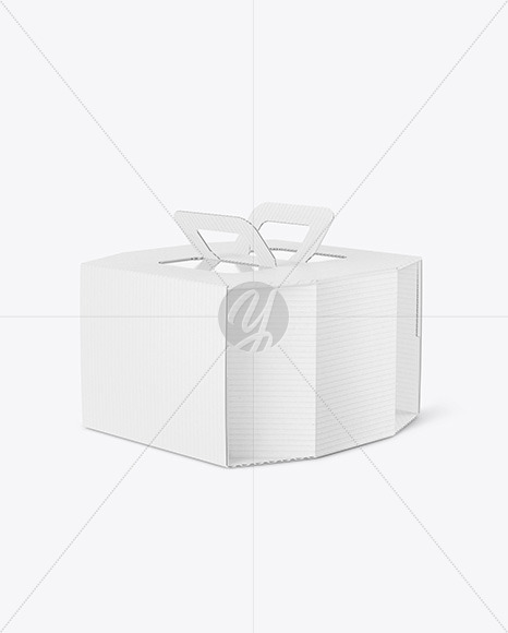 Octagonal Corrugated Box w/ Handle Mockup box 162207