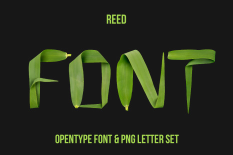 Reed Font