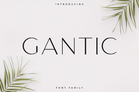 Gantic Font Family - Sans Serif