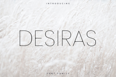 Desiras Font Family - Sans Serif