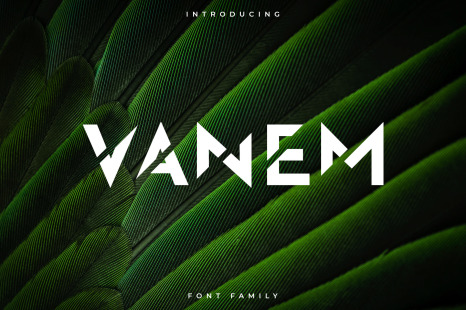 Vanem Font Family – Display Font