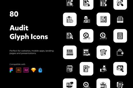 80 Audit Solid Style Icons.