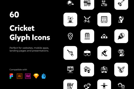 60 Cricket Equipment Glyph Icons