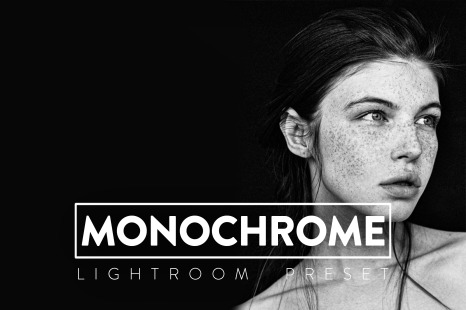 10 Monochrome Lightroom Preset