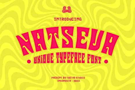 Natseva - Unique Typeface Font