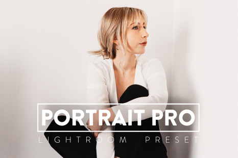 10 Portrait Pro Lightroom Preset