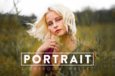 10 Portrait Lightroom Preset