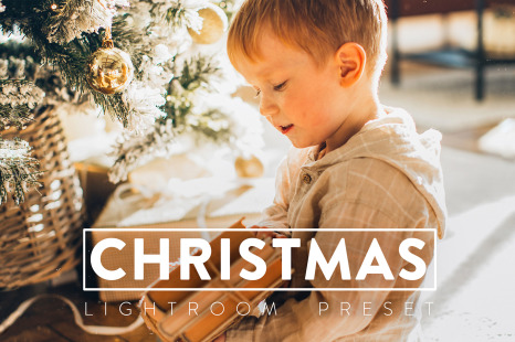 10 Christmas Lightroom Preset