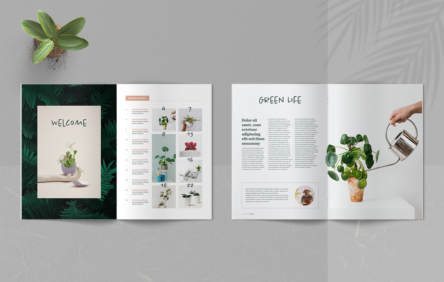 Botany Magazine on Yellow Images Creative Store