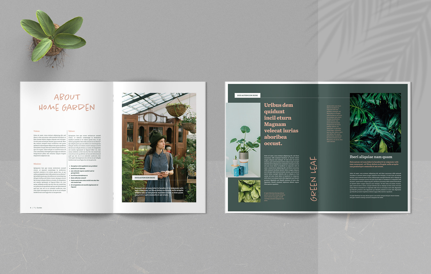 Botany Magazine on Yellow Images Creative Store