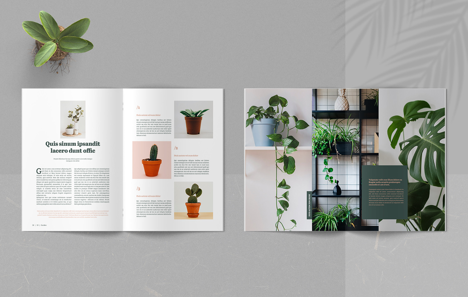 Botany Magazine on Yellow Images Creative Store