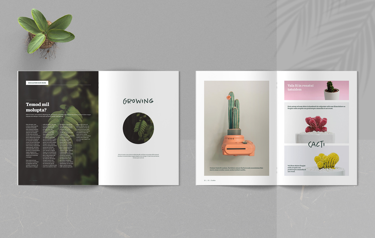 Botany Magazine on Yellow Images Creative Store