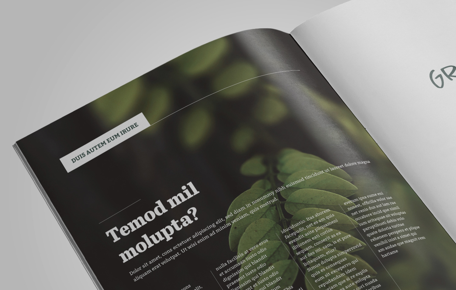 Botany Magazine on Yellow Images Creative Store