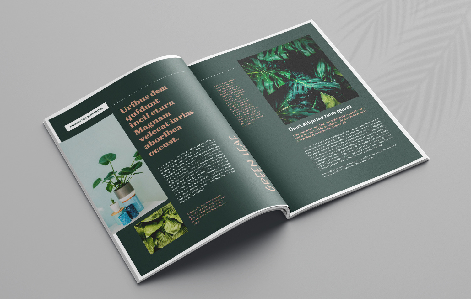 Botany Magazine on Yellow Images Creative Store