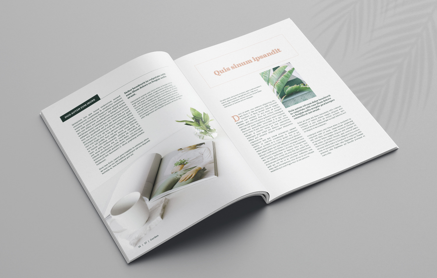 Botany Magazine on Yellow Images Creative Store