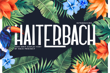 Haiterbach Font