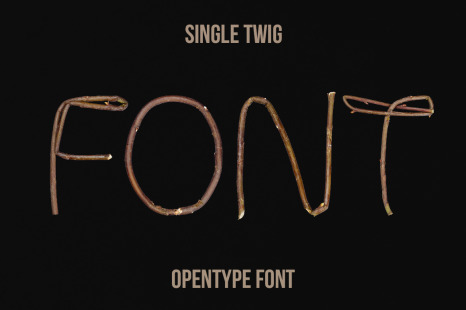 Single Twig Font