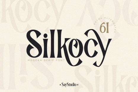 Silkocy - Modern Serif Font