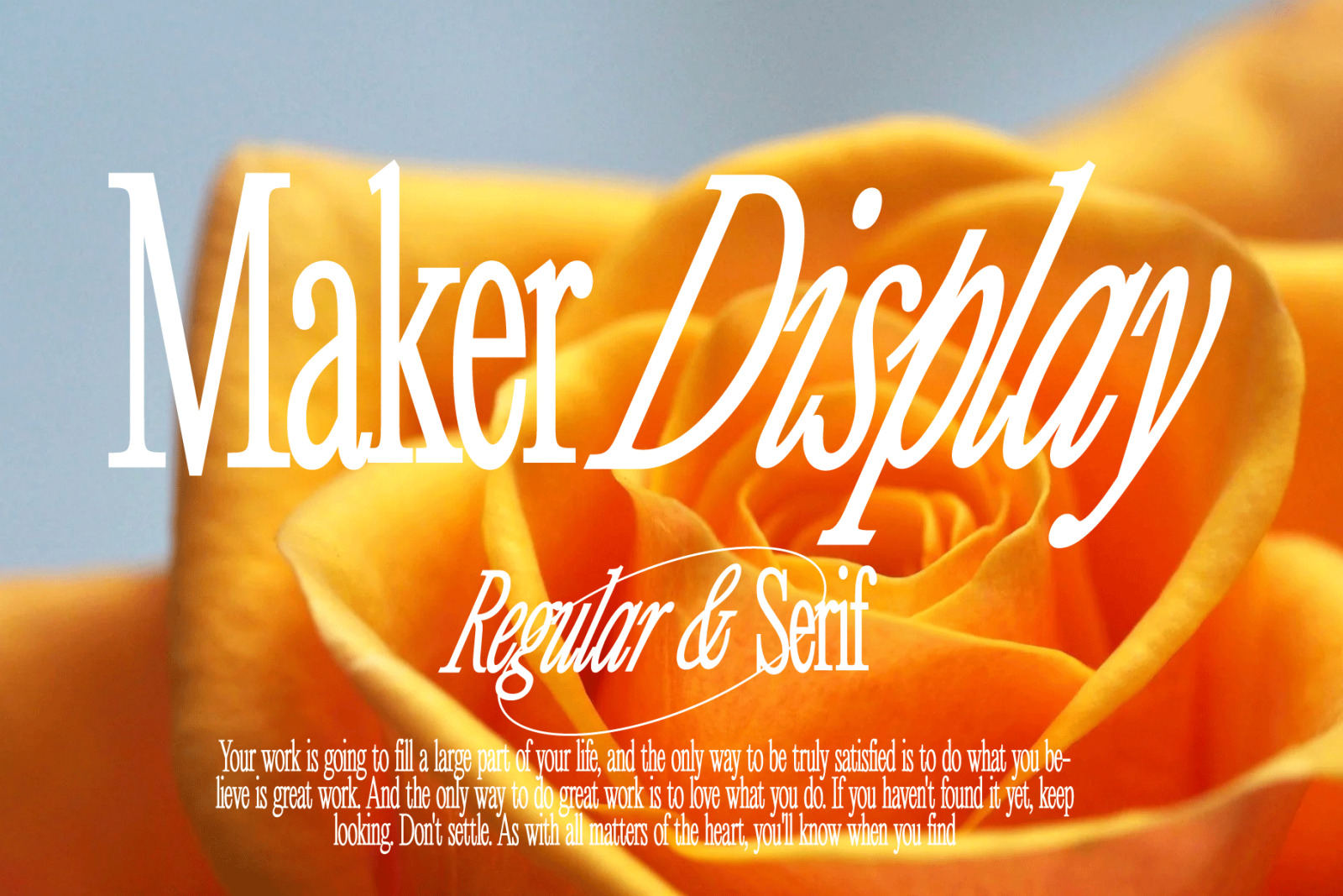 Serif Bundle Display 50% OFF