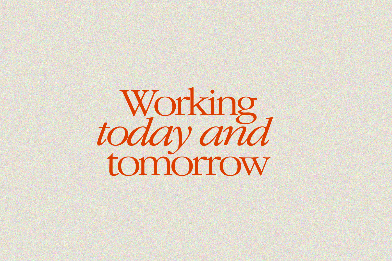 Serif Bundle Display 50% OFF