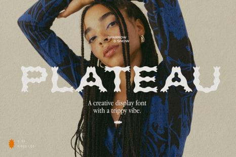 Plateau Font