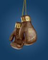Boxing Gloves Mockup