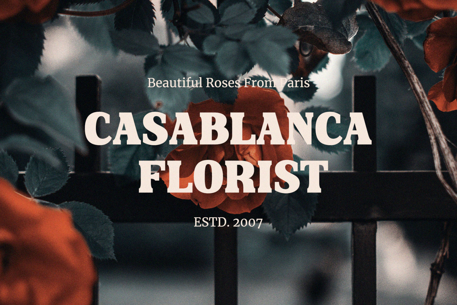 Cliken – Modern Bold Serif