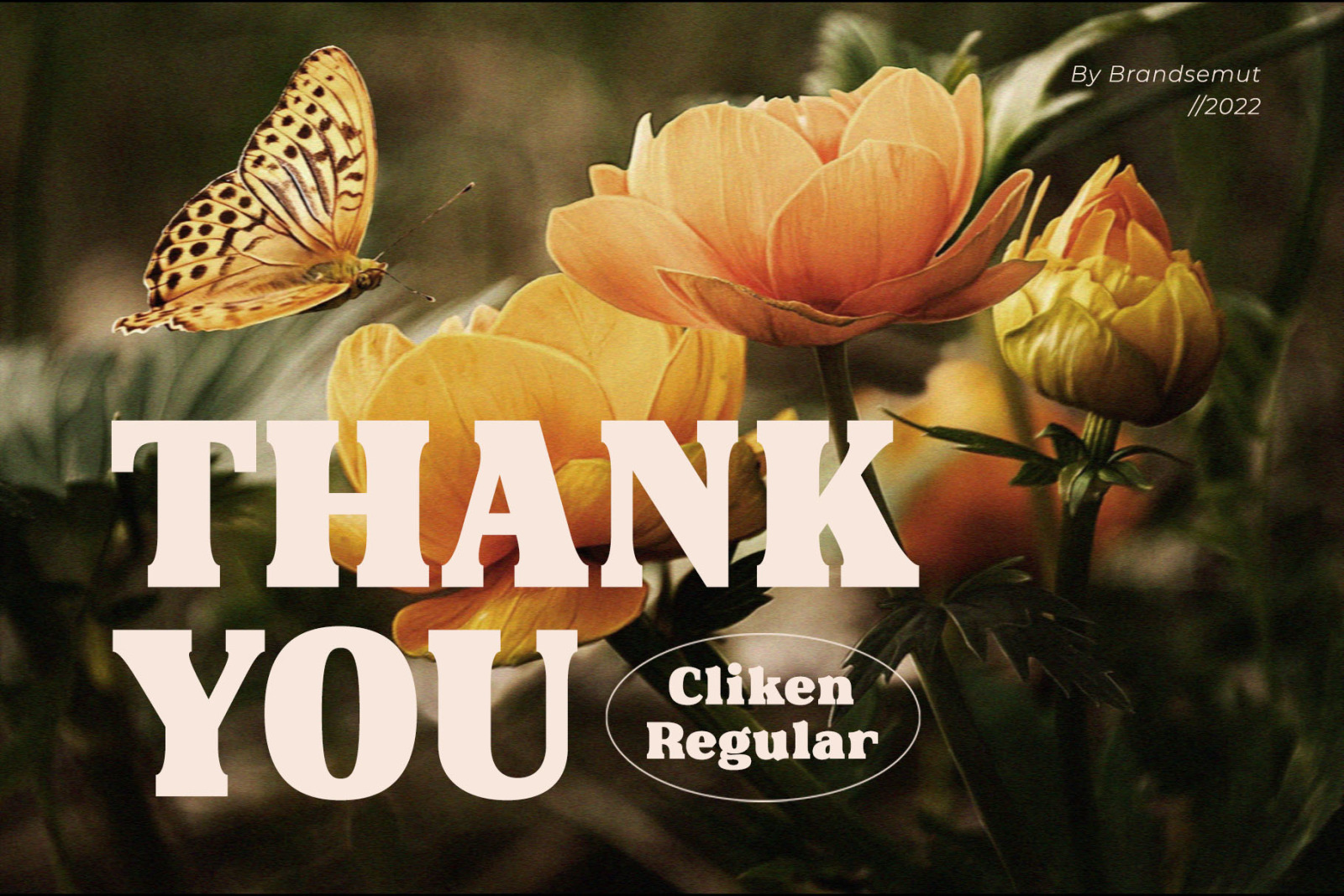 Cliken – Modern Bold Serif