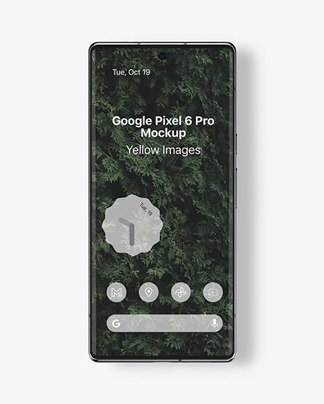 Google Pixel 6